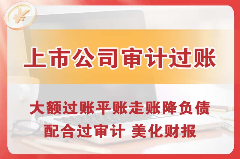 林芝上市公司审计过账